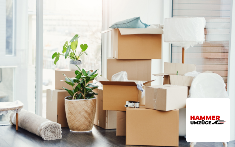 Webdesign Agentur Mannheim Referenz Umzugsunternehmen